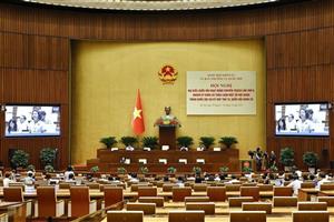 Đại biểu Quốc hội tranh luận là vì trách nhiệm